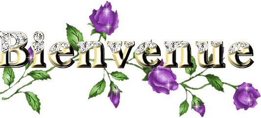 bienvenue